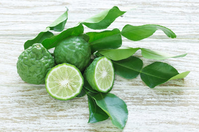 DIY: Kaffir Lime Leaves for Beautiful Skin