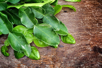 4 Incredible Uses of Kaffir Lime Leaves