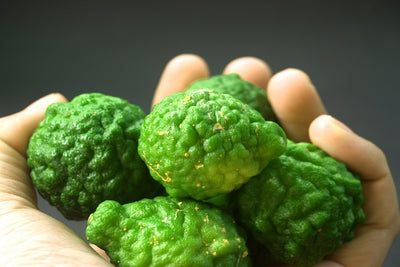 Kaffir Limes and Their Magical Healing Properties