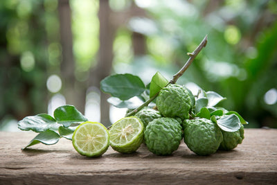 The Kaffir Lime & the Interesting Household Things You Can Do With It
