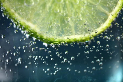 A Guide to Mexican Key Limes: What Makes Them Different?