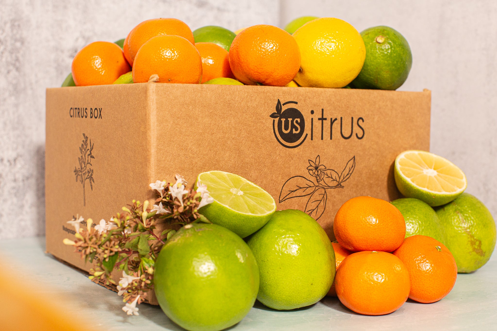 Citrus Gifts