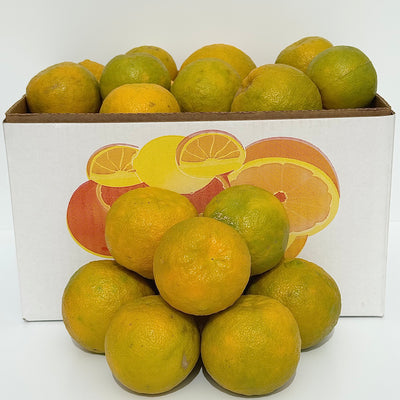 The Brazilian Sour Orange Box